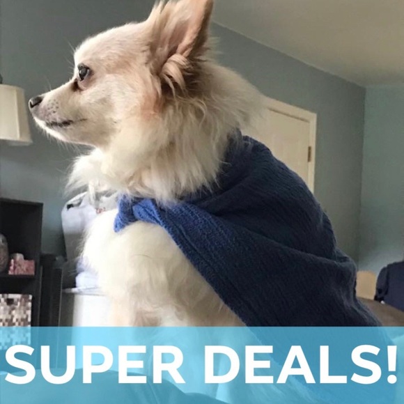 Meet your Posher, Emma - Picture 4 of 5